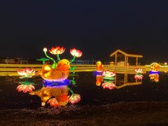 -桐乡凤凰湖