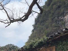 -村上春树