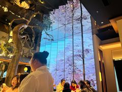 -桂满陇·海市蜃楼·黑金(国金店)