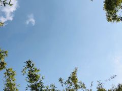 -夏河溪乡野公园