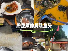 -湘力力小院·鱼汤泡饭(枫林路店)