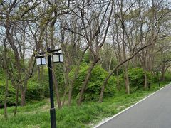 -北陵公园