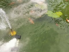 -濮园 · 四合院餐厅