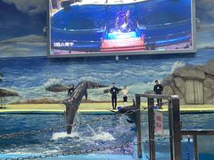 -福州罗源湾海洋世界旅游区