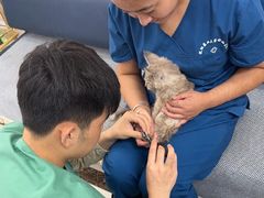 -派美特宠物医院·核磁CT·骨科肿瘤·疑难转诊(沈农禾丰店)