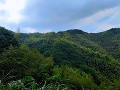 -四明山国家森林公园