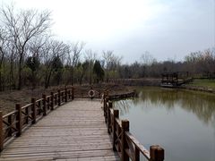 -塘沽森林公园