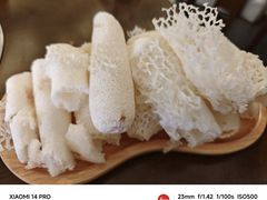 -菌乡缘·野生菌蒸汽鱼火锅(江边夜市店)
