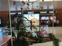 -卡乐星(浦东机场店)