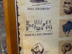 -探洞工场(丰科万达旗舰店)