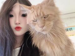 -平行世界·猫咖(首经贸店)