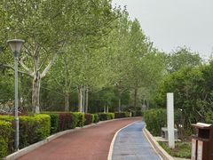 -滨河世纪广场公园