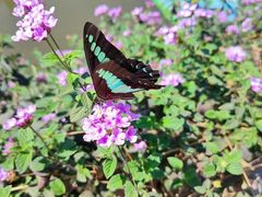 -眉山湿地公园(东坡区)