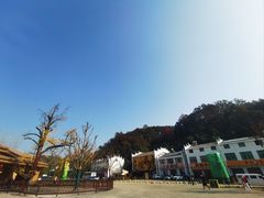 -千年银杏谷文化旅游区
