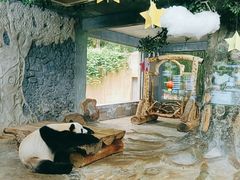 -海南热带野生动植物园