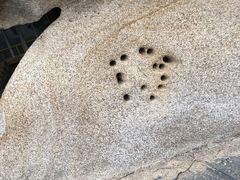 -鼓浪屿·皓月园
