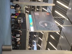 -西沃古尔·拉姆古兰爵士国际机场