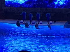 -波塞冬旅游度假区