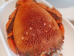 -上宴精品海鲜姿造(晶融汇旗舰店)