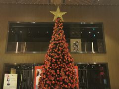 -珠海中海雅高铂尔曼酒店