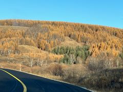 -塞罕坝国家级自然保护区