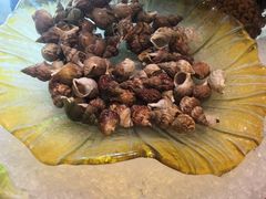 -嘉莱特精典国际酒店·醇咖啡厅