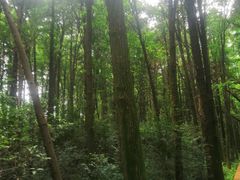 -同里国家湿地公园