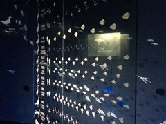 iphone_upload_pic-溱湖国家湿地公园