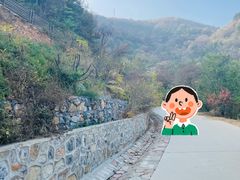 -北京西山国家森林公园