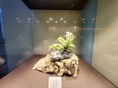 -大连自然博物馆