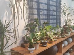 -自由生长植物工作室(深港花卉中心店)