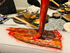 -王家渡火锅店(棕榈泉店)