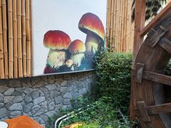 -大理董·董家小厨野生菌火锅(古城旗舰店)