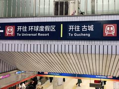 -大望路(地铁站)