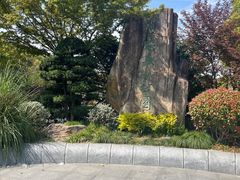 -昆山城市生态森林公园