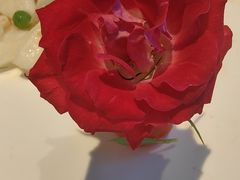 -丽华园(青少年宫店)