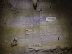 -汉景帝阳陵博物院