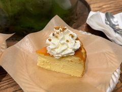 -自由生长植物工作室(深港花卉中心店)