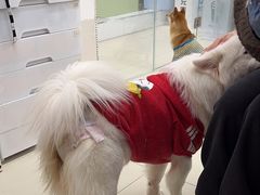 -怪兽屋·羊驼·猫咖·狗咖(俊华广场店)