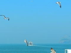 -海驴岛(荣成市)