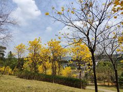 -中国移动南方基地