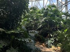 -昆明市金殿名胜区