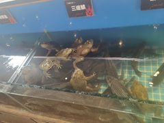 -鼎原力量东北吊炉烧烤(幸福街店)