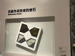 -正佳自然科学博物馆