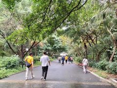 -三水森林公园