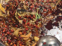 -味之绝热血美蛙鱼火锅(中坝店)