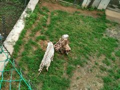 -辛玛王国游乐园