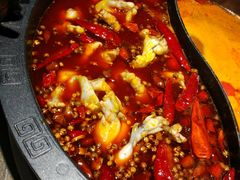 -销魂美蛙鱼头火锅(上海首店)