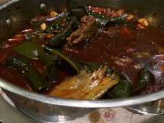 -黄记煌三汁焖锅(华发商都店)