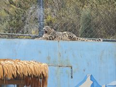 -青藏高原野生动物园